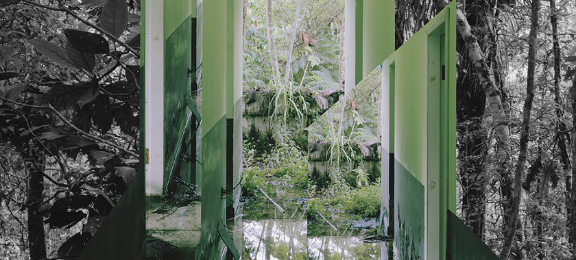 Photo collage of natural environments by Susannah Sayler