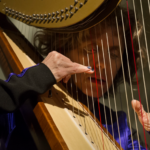 A woman wearing a black and blue top is playing harp with red, white, and black strings