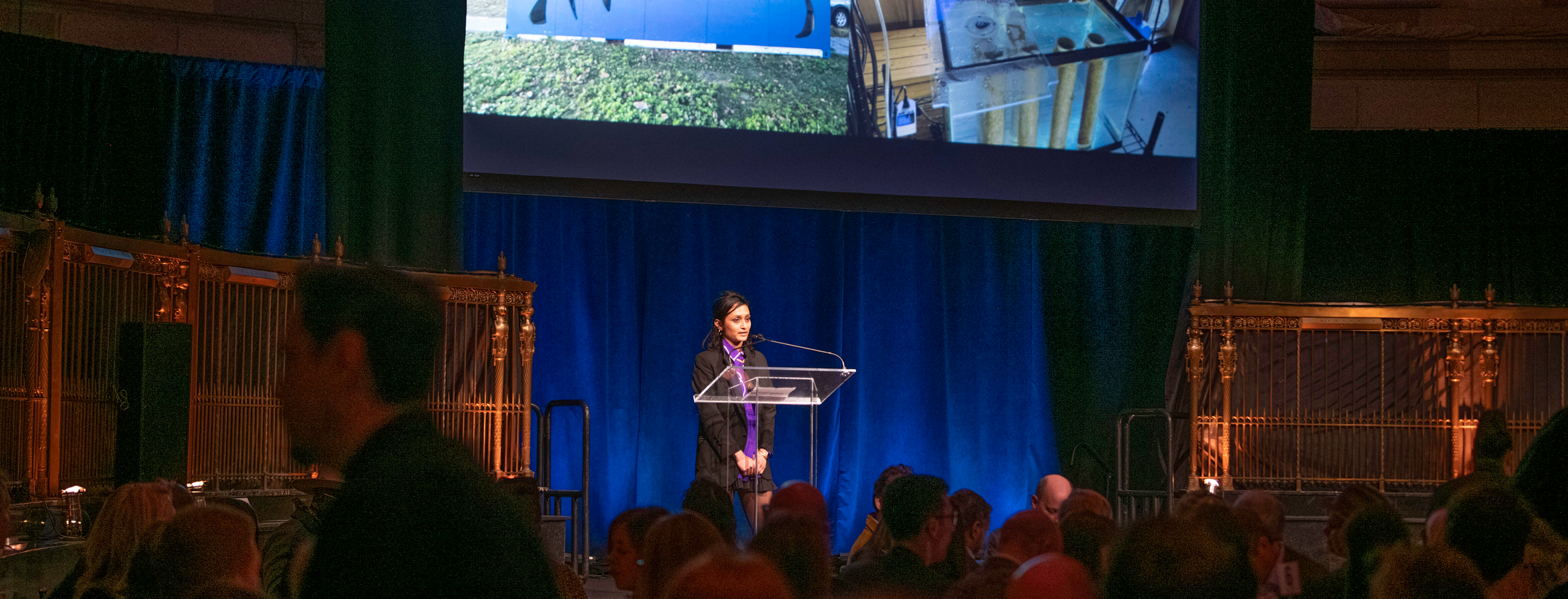 Shanjana Mahmud on stage at NYFA's Hall of Fame Benefit, with images of her environmental art project displayed behind her on a big screen.